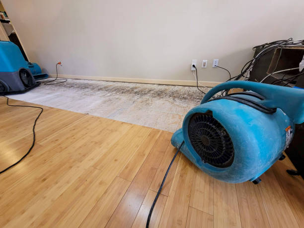 Professional Structural Drying technician working in Sandusky, MI